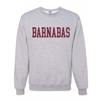 SBS Spirit Sweatshirt w/ Barnabas Logo #32